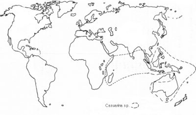 Casuarina Map 1